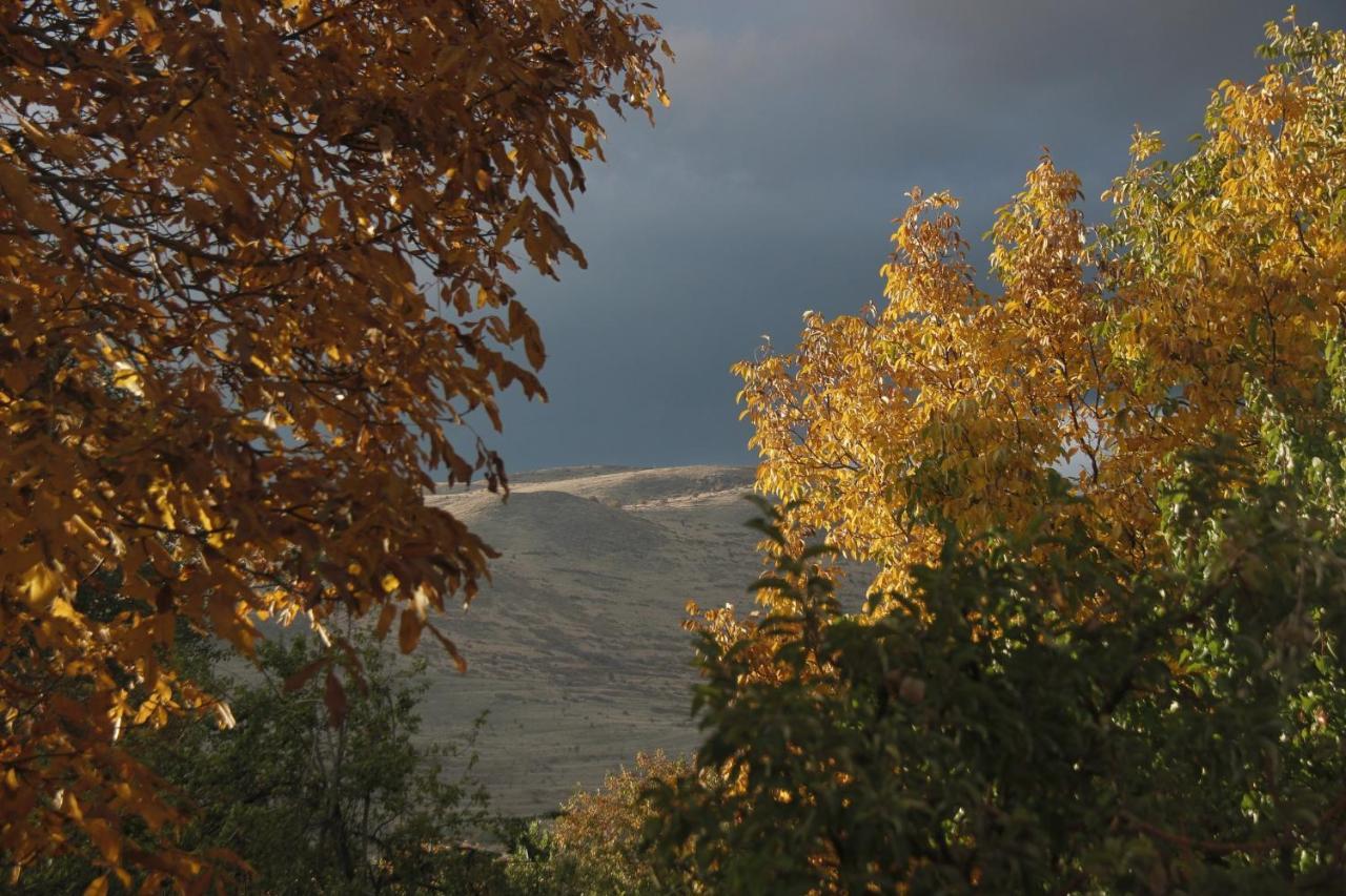 Zove Rural Cottage With Garden Views K'arashamb Екстер'єр фото