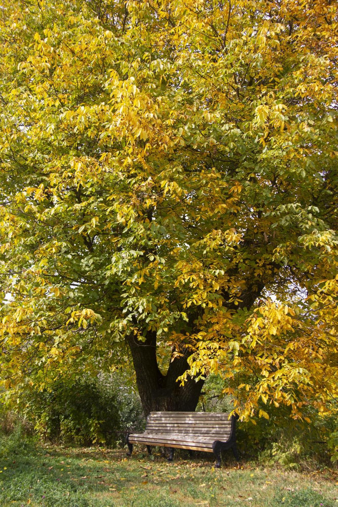 Zove Rural Cottage With Garden Views K'arashamb Екстер'єр фото
